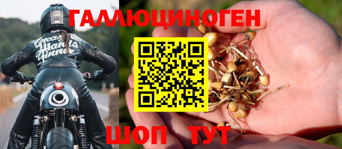 Камышлов  Псилоцибиновые грибы Cubensis  Псилоцибиновые грибы GOLDEN TEACHER  Вход с VPN 